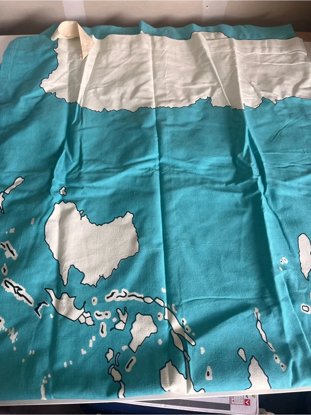 Urban Outfitters Blue and White World Map Shower Curtain